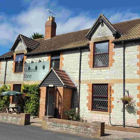 Oyo The Walnut Tree Hotell West Camel Eksteriør bilde